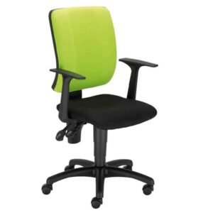 Jaunuolio kėdė SNAP fiksuoto aukščio porankiai galima fiksuoti daugybėje