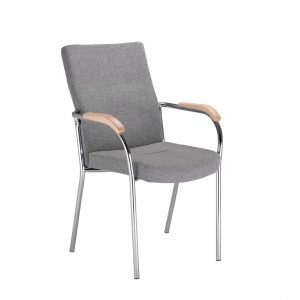 Lankytojo kėdė LOCO II garantinis terminas medžio apdaila